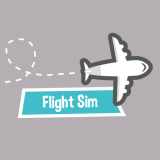 Flight Sim
